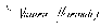 Viviana Hernández Boutique